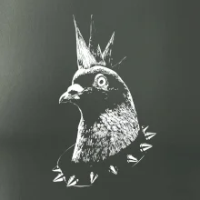 Holub punk Holub punk