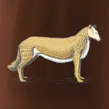 Vintage Collie