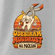 Odebírám moudrost na počkání
