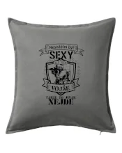 Nesnáším být sexy voják - erb