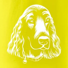 Kokršpaněl - hlava kreslená