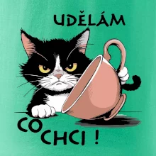 Kočka - udělám co chci