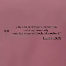 Citáty z bible - Izajáš 40:31