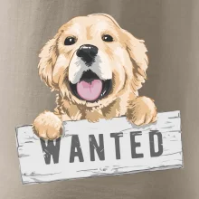 Zlatý retriever - štěně wanted