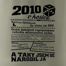 2010 v kostce