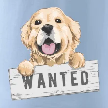 Zlatý retriever - štěně wanted