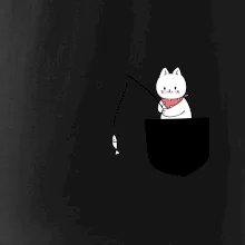 Kočka s rybou v kapse