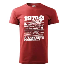 1970 v kostce