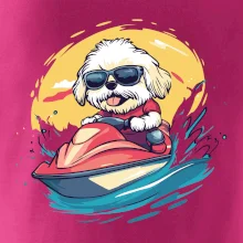 Lhasa Apso na vodním skútru