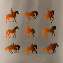 Koně v kostce Koně v kostce