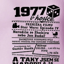 1977 v kostce