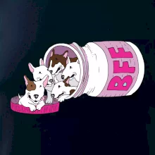 Bullterrier Friends Forever růžové (Pecka design)