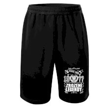 Zrození legendy - slezská orlice Zrození legendy - slezská orlice