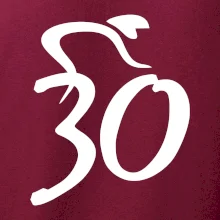 Cyklista slaví třicítku (30)