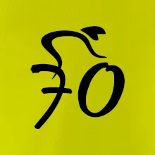 Cyklista slaví sedmdesátku (70)