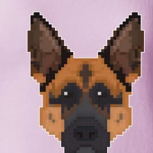 Německý ovčák - Rozkostičkovaný