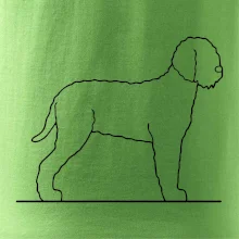 Lagotto romagnolo stojící