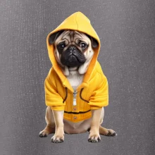 Mops v mikině