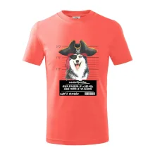 Lump a darebák husky