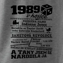 1989 v kostce