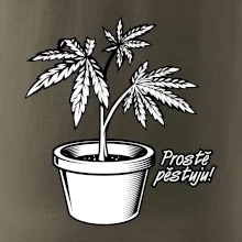Konopi prostě pěstuju