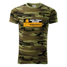 Jsem týhle stavby vedoucí