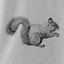 Veverka kresba