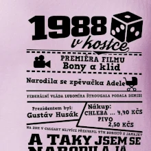 1988 v kostce