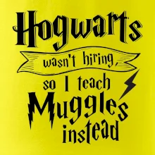 Harry - Hogwarts wasn’t hiring, so I teach Muggles instead