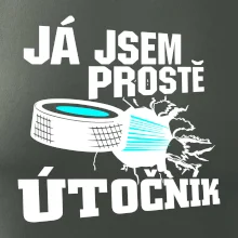 Já jsem prostě útočník (hokej)