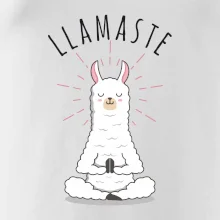 Yoga Llamaste Yoga Llamaste