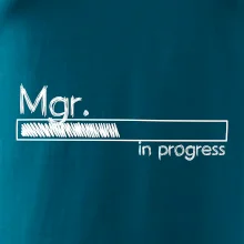 In progress titul Mgr.  magistr / magistra