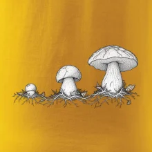 Životní cyklus hřibu