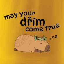 May your dřím come true