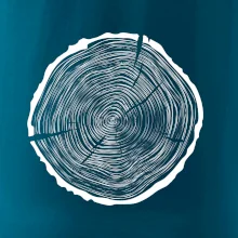 Letokruhy 55 bez věku