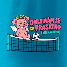 Nohejbalové prasátko na síti