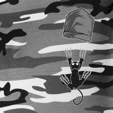 Kočka vypadla z kapsy