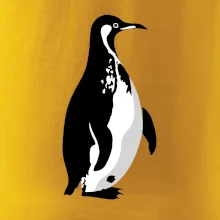 Tučňák černobílý z boku