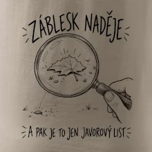 Záblesk naděje