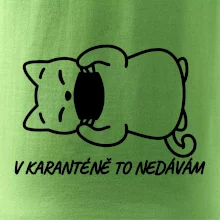 V karanténě to nedávám