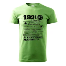 1991 v kostce