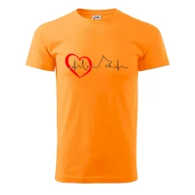 Německý ovčák ekg