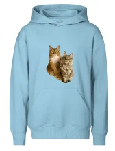 Kočky vectorizované  (Moňas)