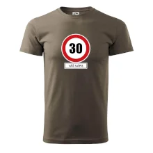 Dopravní značka - rychlost 30 - váš nápis