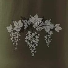 Vinné hrozny šedé