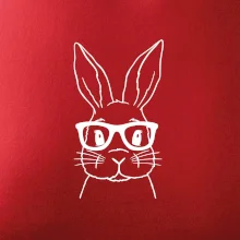 Králík s brýlemi