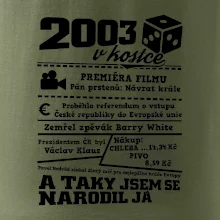 2003 v kostce