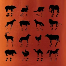 Zvířecí stopy s obrázkem zvířete - stopy zvířat