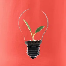 Žárovka květináč