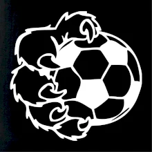 Medvědí tlapa fotbal